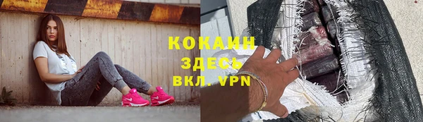 шишки Инсар
