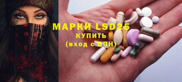 шишки Инсар