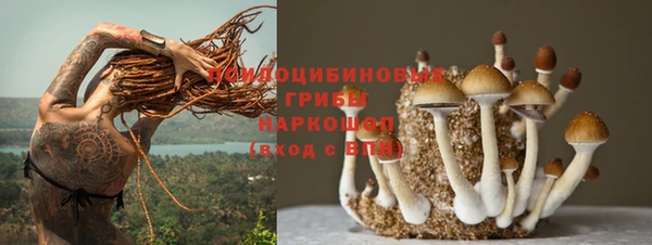 гашик Инта