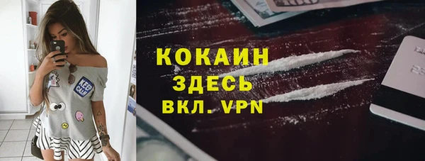 шишки Инсар