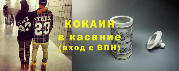 шишки Инсар