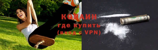гашик Инта