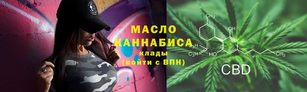 шишки Инсар