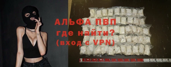 гашик Инта