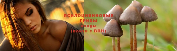 шишки Инсар