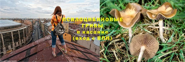 spice Иннополис