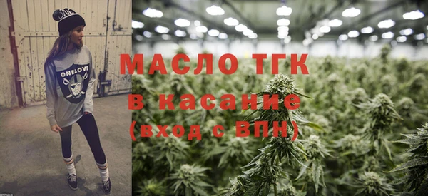 шишки Инсар