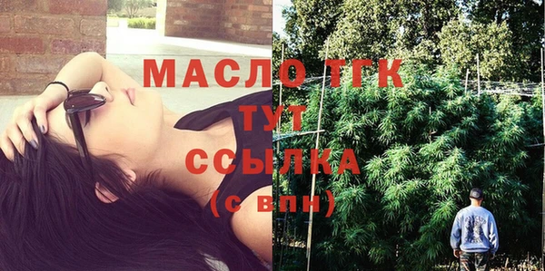 шишки Инсар