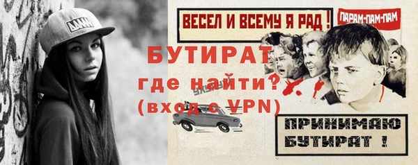 шишки Инсар