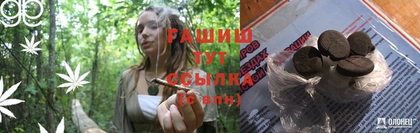гашик Инта