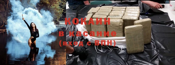 гашик Инта