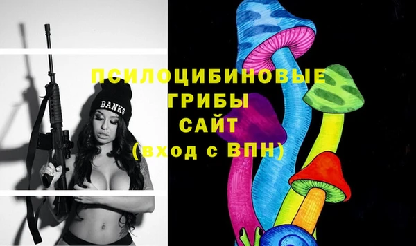гашик Инта