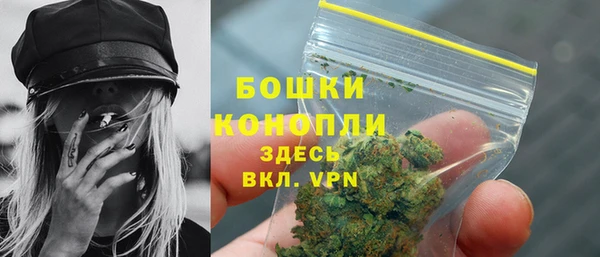 шишки Инсар